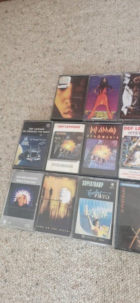 Bundle of Cassettes ft. Metallica, Lenny Kravitz, Def Leppard Carousel 2