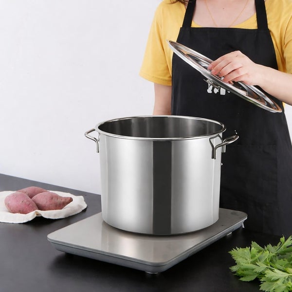 14L Heavy Duty Stock Pot 30cm Stainless Steel Pot With Lid Soup Pot Carousel 1
