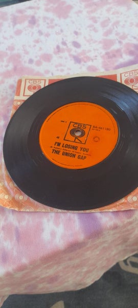 Young Girl...The Union Gap Carousel 2