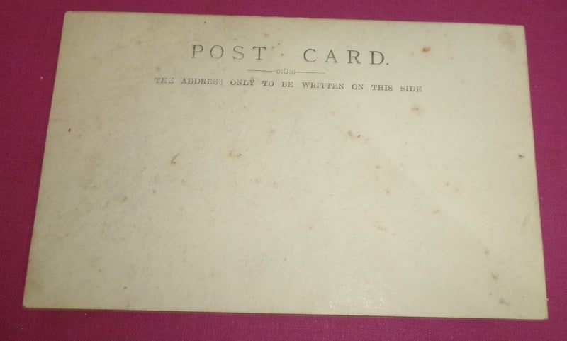 Antique Photo Postcard Carousel 2