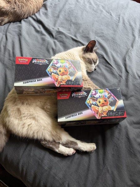 Prismatic Surprise Box | AFTERPAY AVAILABLE Carousel 2