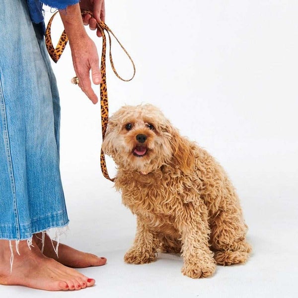 Kip & Co Tarzan Dog Lead Small Carousel 2