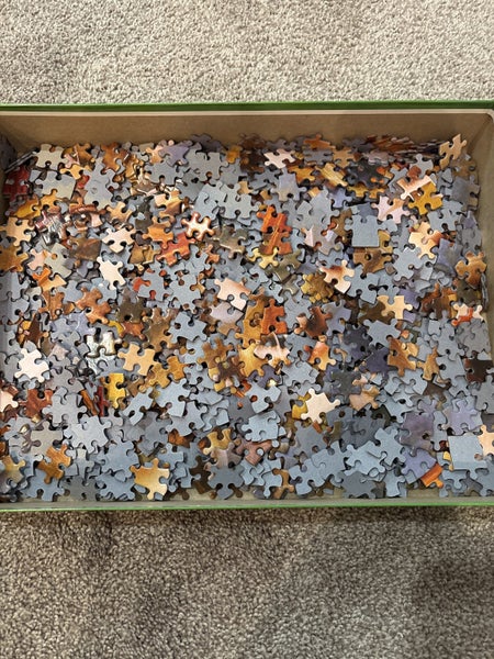 1000 piece puzzle (fairy) -Femme Primera Carousel 2