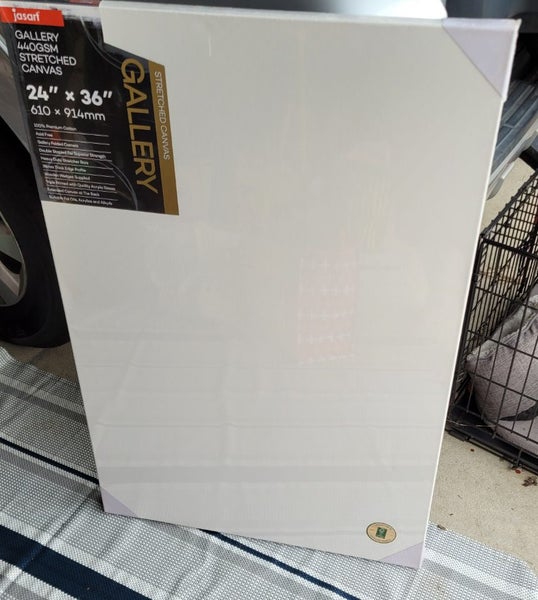 Huge Artist Canvas Bundle – 6 Canvases – NEW – Bargain Carousel 2