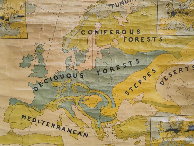 VINTAGE WALL MAP - NATURAL VEGETATION AND CROPS in EUROPE Carousel 2