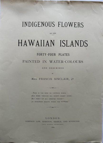 Plate 3 1885 chromolithograph from INDIGENOUS FLOWERS OF THE HAWAIIAN ISLANDS Carousel 6