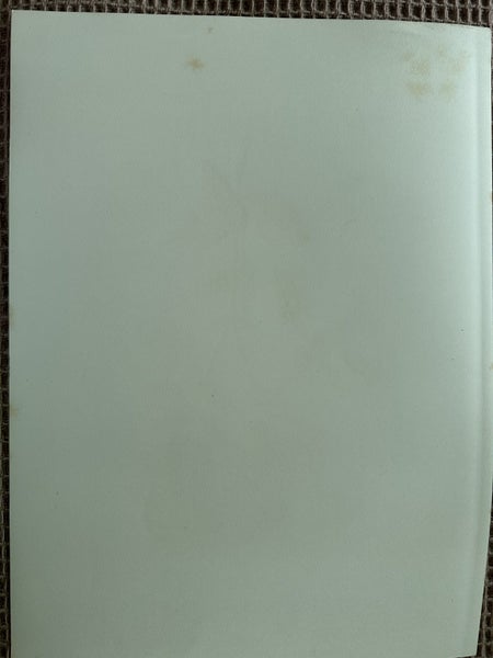 Plate 2 1885 chromolithograph from INDIGENOUS FLOWERS OF THE HAWAIIAN ISLANDS Carousel 2