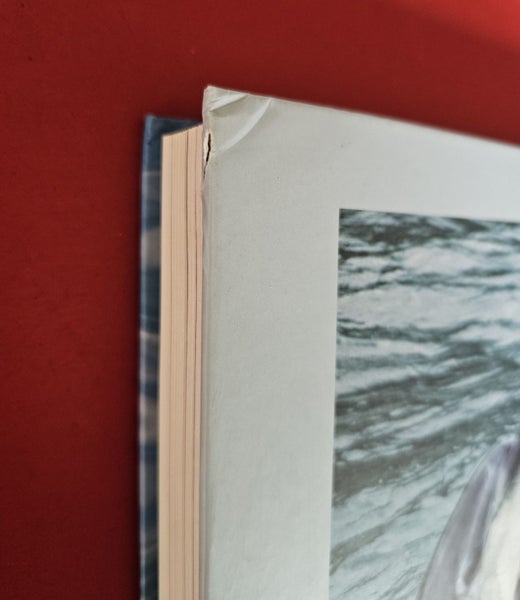 Raewyn Peart | Dolphins of Aotearoa | Living with New Zealand Dolphins Carousel 8