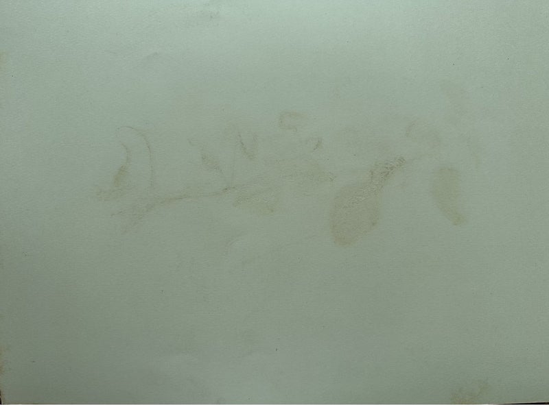 Plate 42, 1885 chromolithograph from INDIGENOUS FLOWERS OF THE HAWAIIAN ISLANDS Carousel 2