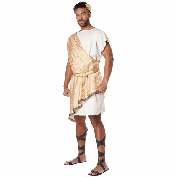 Greek God Olympus Caesar Roman Ancient Gold Toga Party Adult Mens Costume Carousel 1