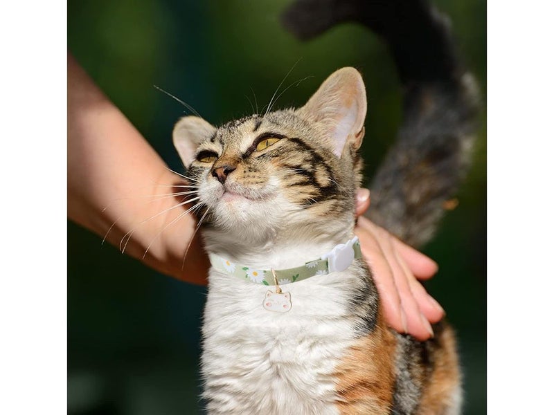 Adjustable Cat Collar (Auckland Stock) Carousel 6