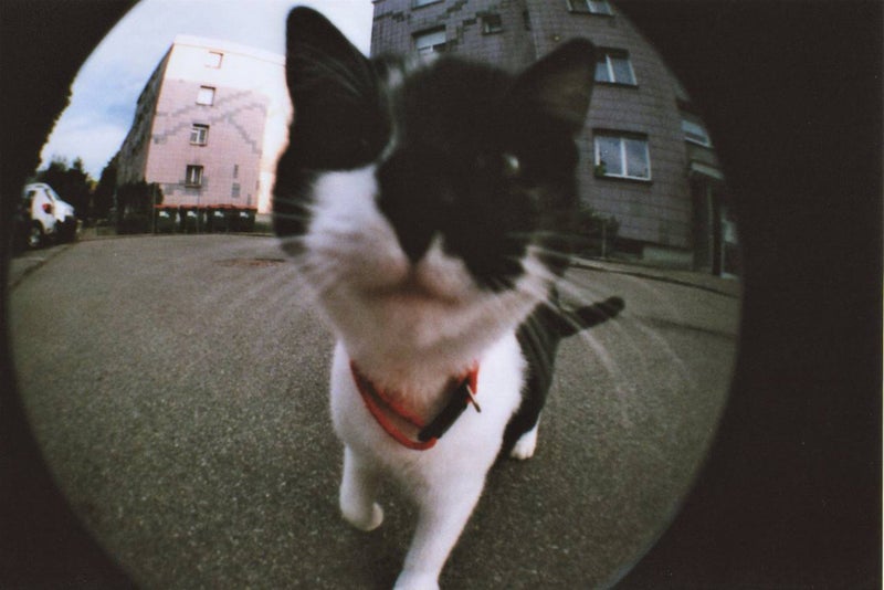 Lomography - Fisheye2 camera in original packaging Carousel 2