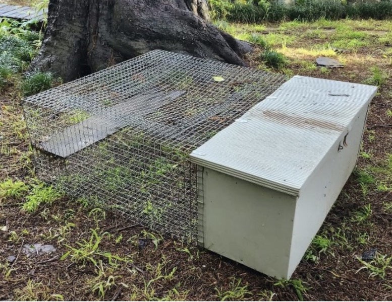Rabbit or Guinea Pig Cage- Good Size Carousel 1