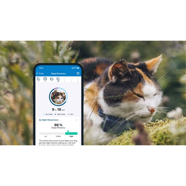 Tractive GPS Cat Collar – Excellent Condition – Selling 2 units ($45 per unit) Carousel 3