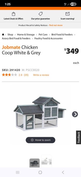 Awesome blue eyed minilop + House Carousel 1