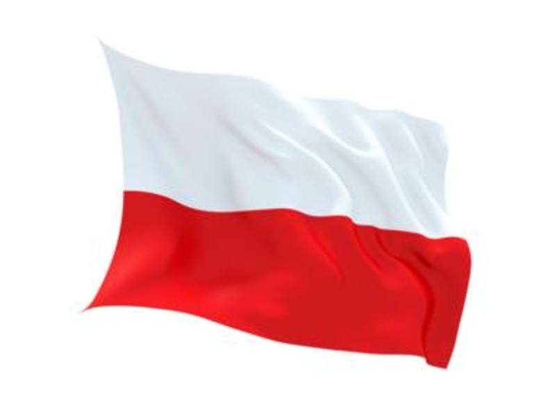 Flag Poland - 1.5 metre x 90cm - 2 metal eyelets Carousel 1