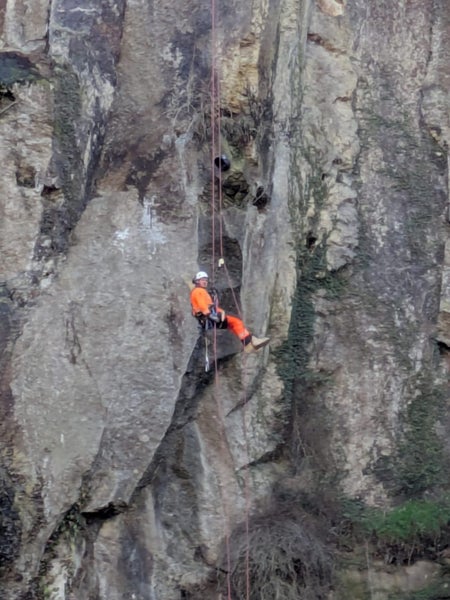 Avalon Industrial Services Ltd Carousel 3