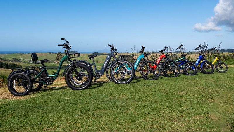 Splitzee Foldable E-bike480122346228295686