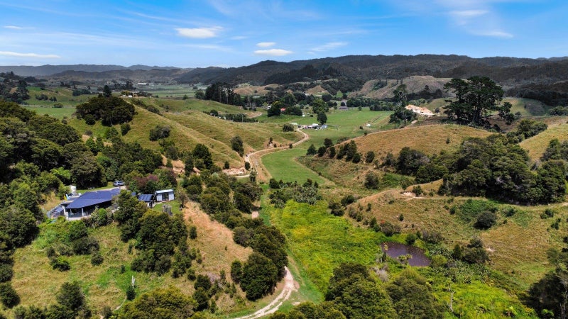 Image 1 of 50