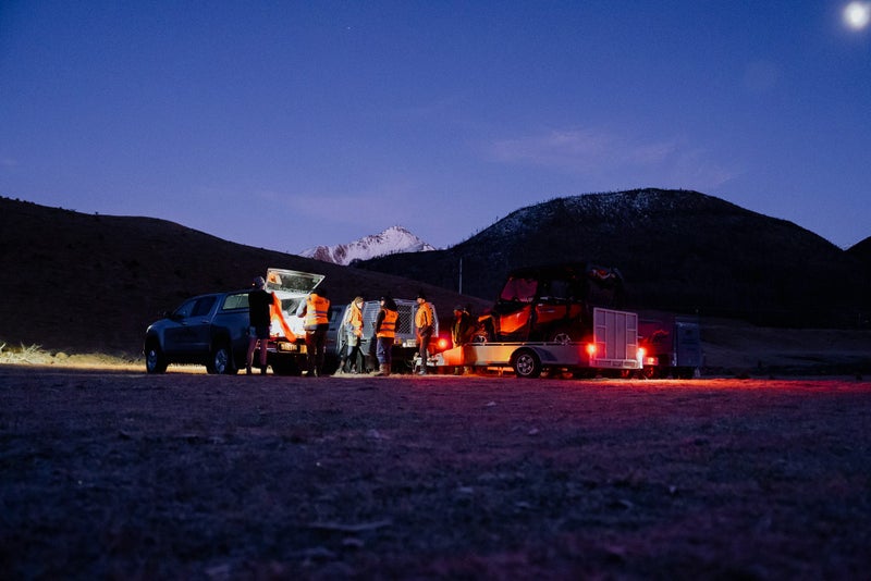 Longridge Contracting NZ Ltd Carousel 1