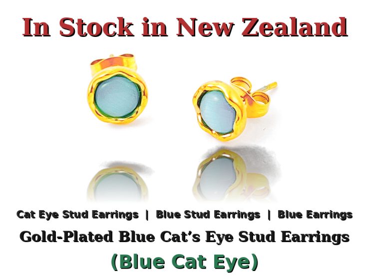 Stud Earrings 14K Gold Plated Earrings Titanium Stud Earrings Minimal Earrings Carousel 1