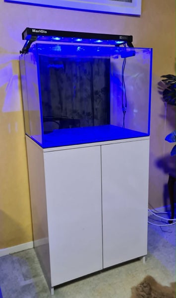 Marine Fish Tank Carousel 2