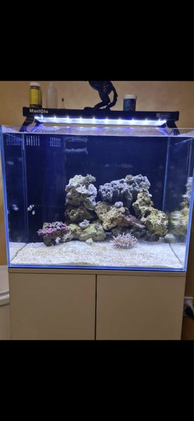 Marine Fish Tank Carousel 1