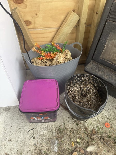 Marine Fish Tank Carousel 5