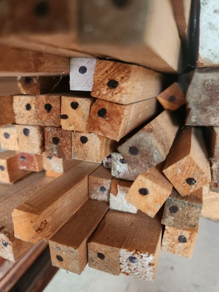 Rimu Timber Sqaure Dressed Carousel 1