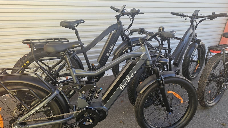 Ride away on a new Donkey Carousel 1