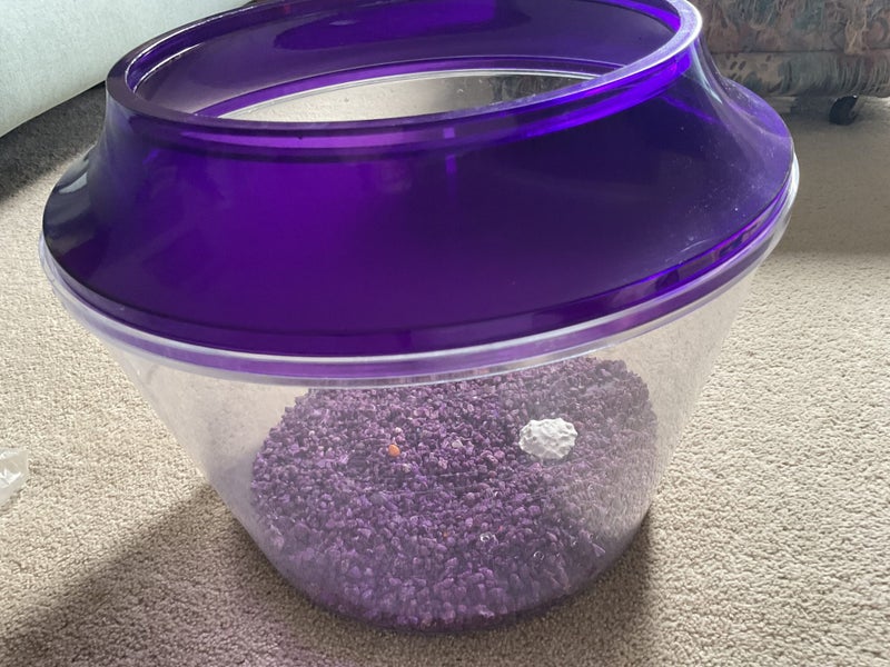 Round fish bowl Carousel 2