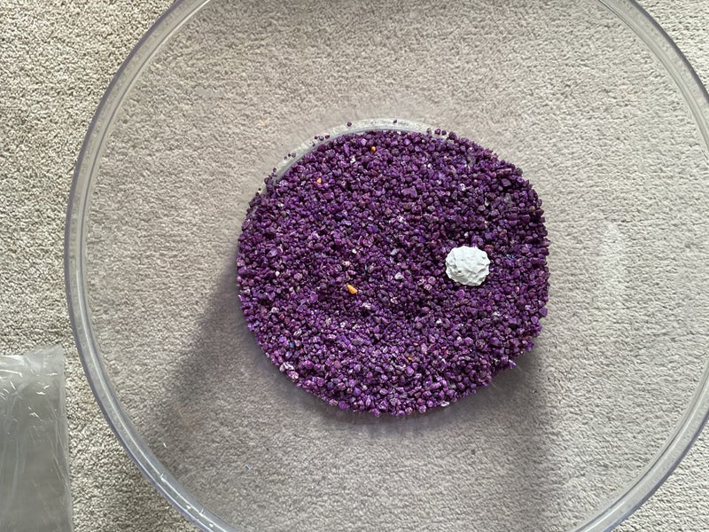 Round fish bowl Carousel 4