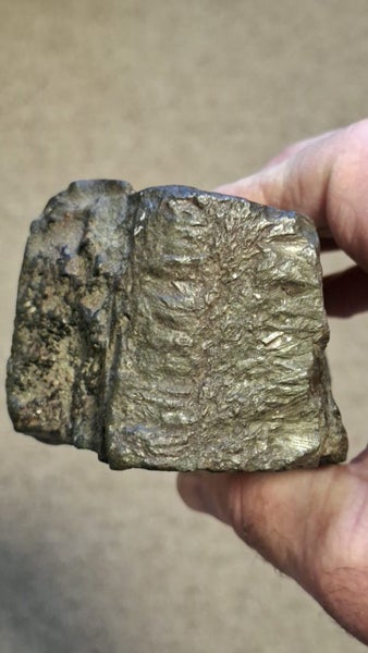 Meteorite From SPACE !)( 1:27 kg )( metallic , , Suiseki Contemplation Stone Carousel 1