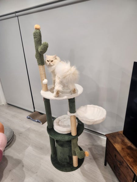Cactus Cat Tower 1.7m Carousel 2