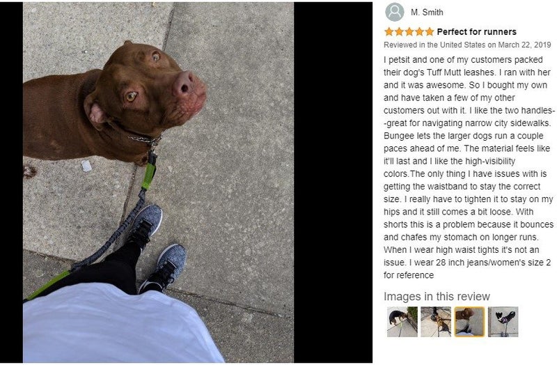 Dog Leash Collars Hands-Free Retractable *Local STOCK NOW* Carousel 2