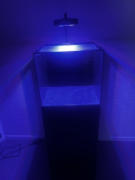 Fish tank: 20L Cube box aquarium Carousel 1