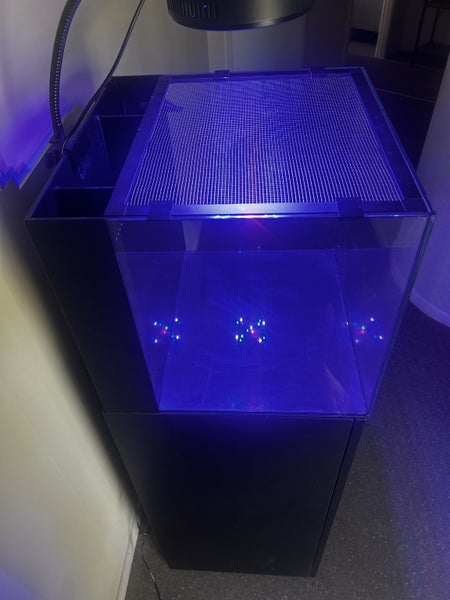 Fish tank: 20L Cube box aquarium Carousel 2