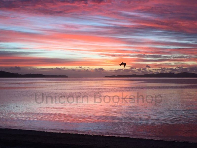 SUNRISE at Snells Beach, New Zealand Carousel 1