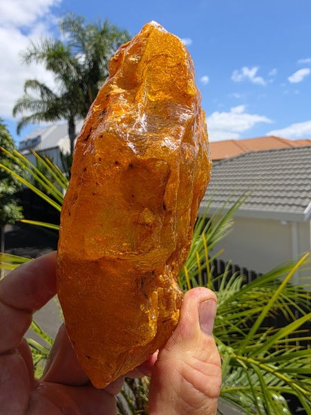 Kauri Gum Amazing Piece!! (353g) Carousel 1