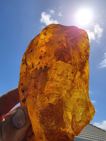 Kauri Gum Beautiful large piece (513g) Carousel 1