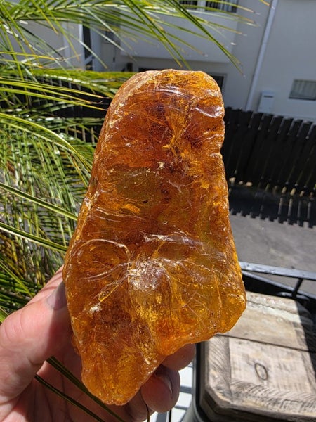 Kauri Gum Beautiful large piece (513g) Carousel 11