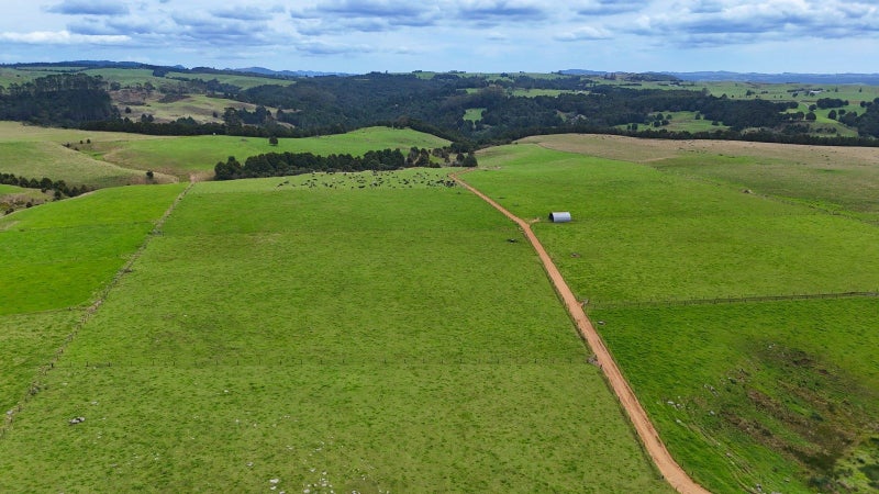 Image 2 of 29