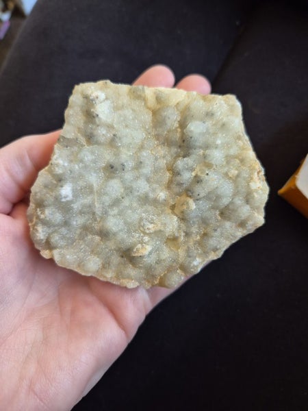 Prenite, Queensland Australia Carousel 1