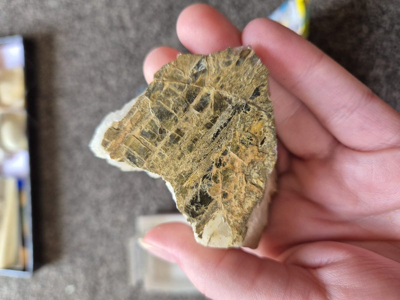 Muscovite Mica On Quartz, Takaka Carousel 2