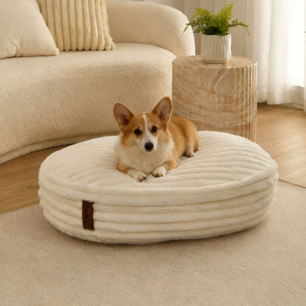 Charlie's Cloud Crushed Foam Dog Bed Cream Small Carousel 1