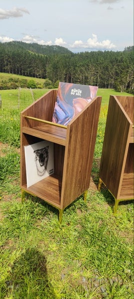 Custom vinyl record storage Carousel 2