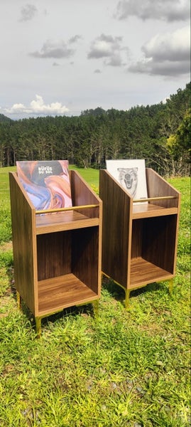 Custom vinyl record storage Carousel 1