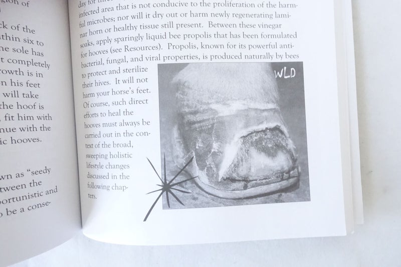 Founder: Prevention and Cure - The Natural Way Jackson, Jaime (SKU BK9) Carousel 11