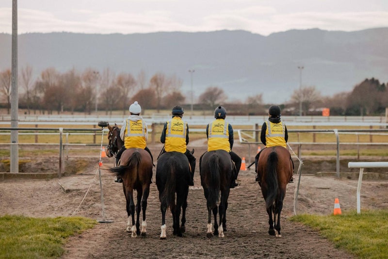 Wexford Stables Ltd Carousel 1