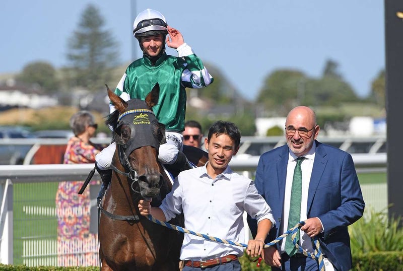 Wexford Stables Ltd Carousel 8